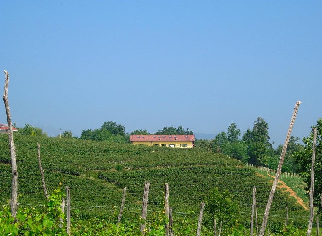 Agriturismo Turina Bricherasio Ngoại thất bức ảnh
