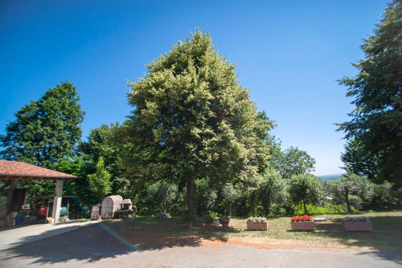Agriturismo Turina Bricherasio Ngoại thất bức ảnh