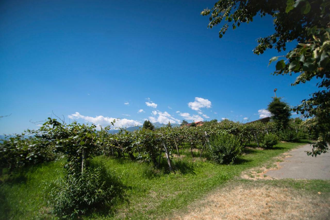 Agriturismo Turina Bricherasio Ngoại thất bức ảnh